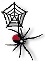 Join The Spyder For More Search Engine Traffic